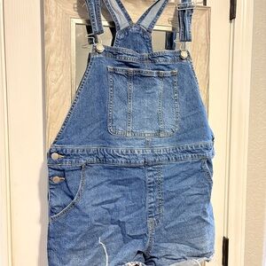 No Boundaries Light Blue Denim Overalls